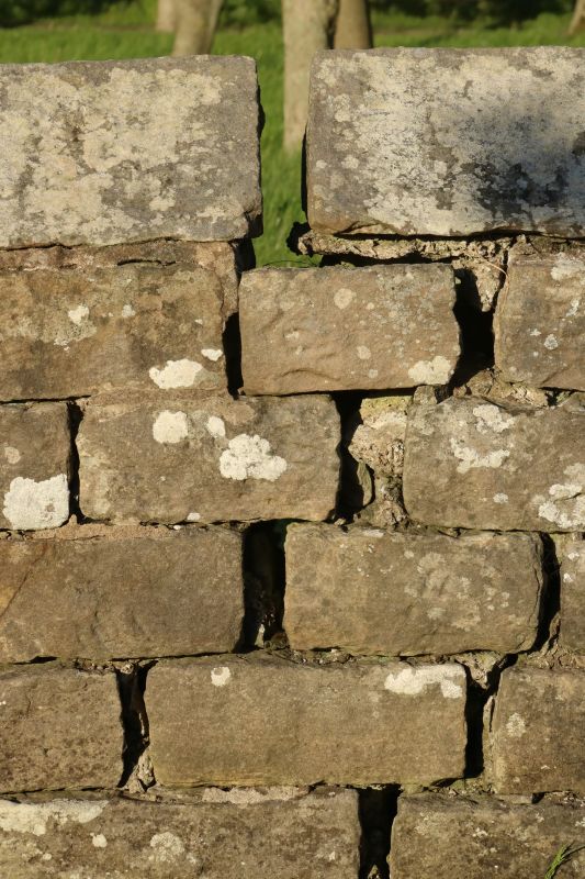 Stone Wall Repair in North Branford, CT
